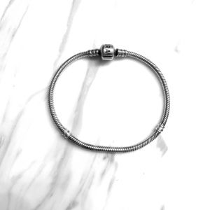 Pandora Charm Bracelet